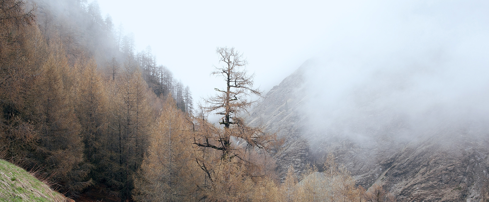 云呼试用三分钟